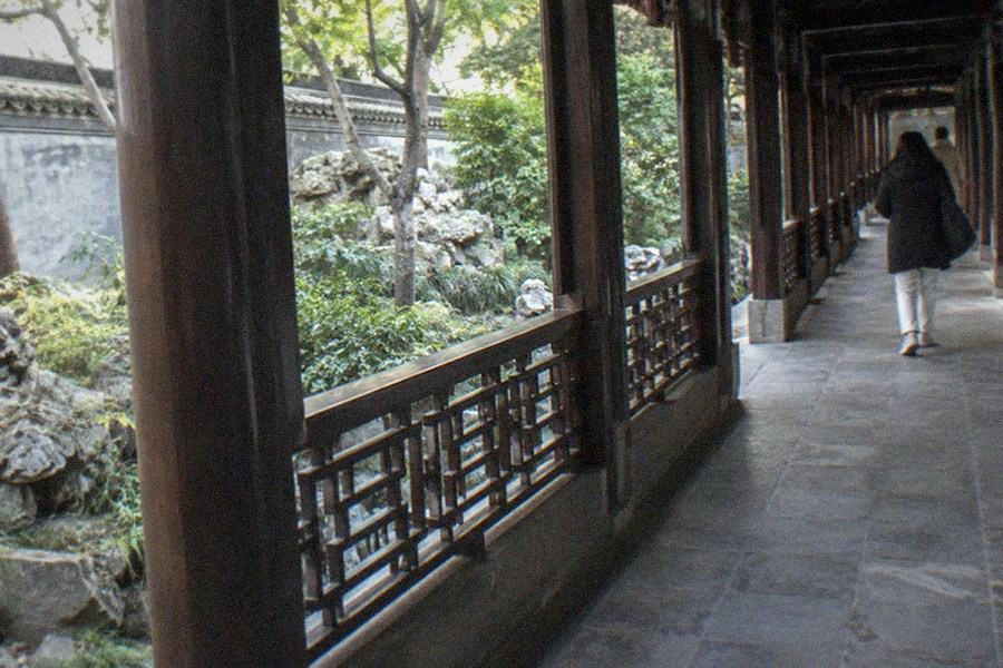 Rockery and pavilion in a classical Chinese garden with pine trees