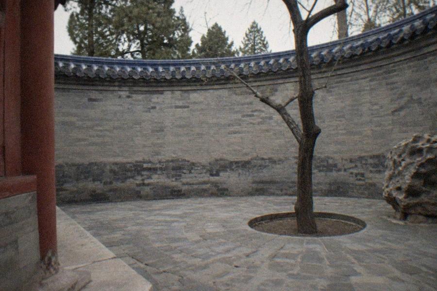 A wide stone walkway lined with cypress trees leading toward the Temple of Heaven complex