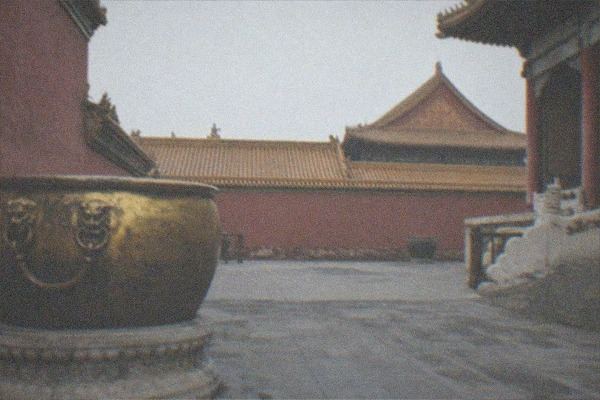 Stone statues of guardian animals lining the tree-shaded spirit way toward the Ming Tombs