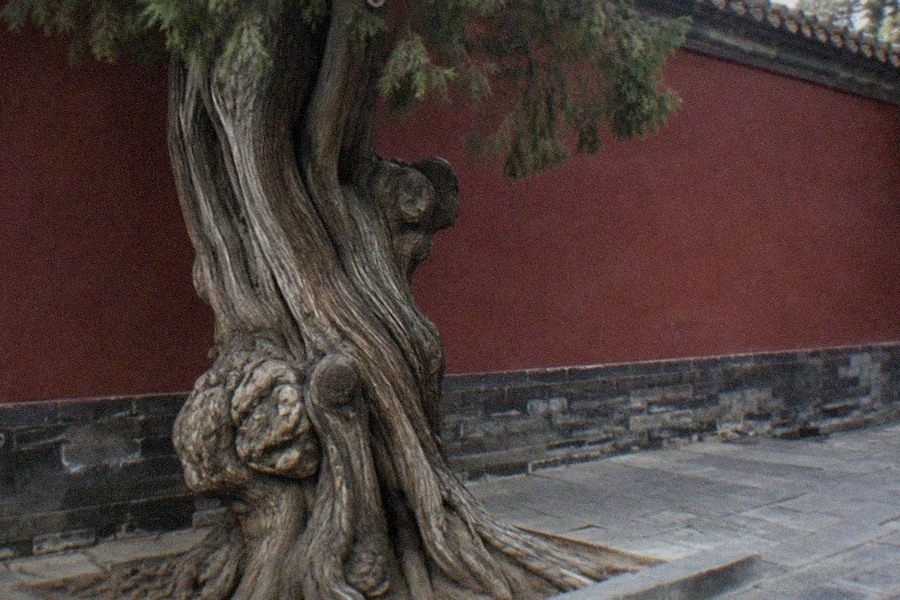 The circular Biyong pavilion of the Imperial College at the Confucius Temple and Imperial College Museum, surrounded by its moat